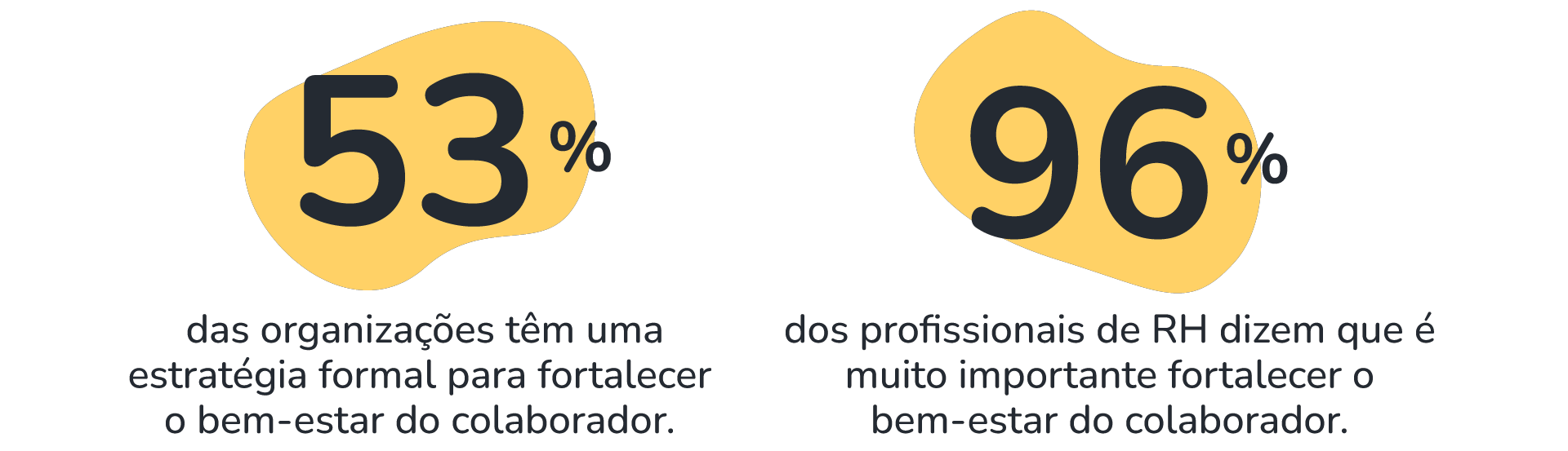 1 estrategias organização percentagem-1